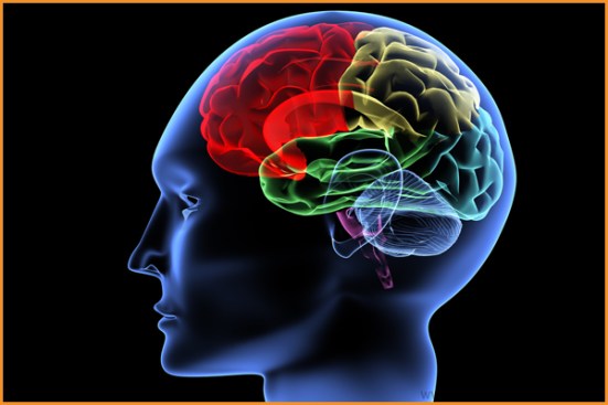 life-kinetik-stefan-ebner